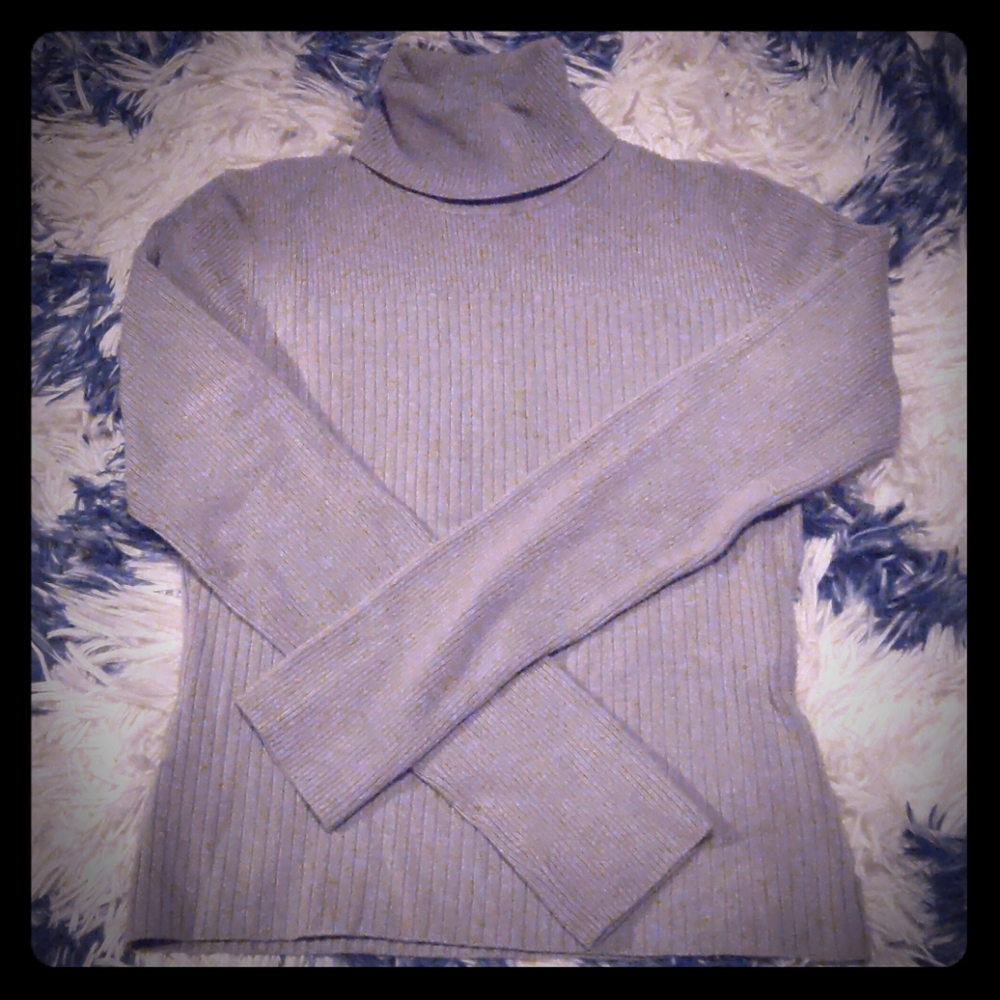 BCBGmaxazria sweater